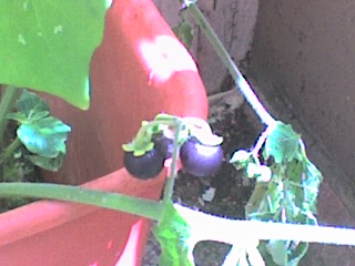 20-06-08_1319.jpg