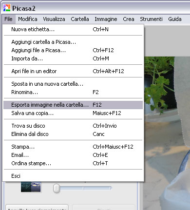 resize1.jpg