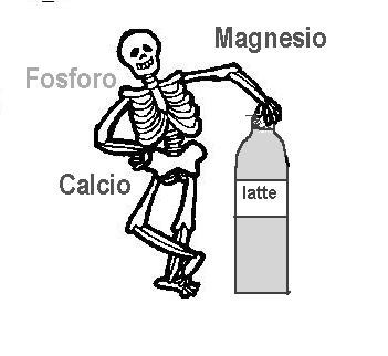 scheletro.jpg