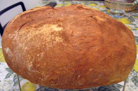 Pane 1.jpg